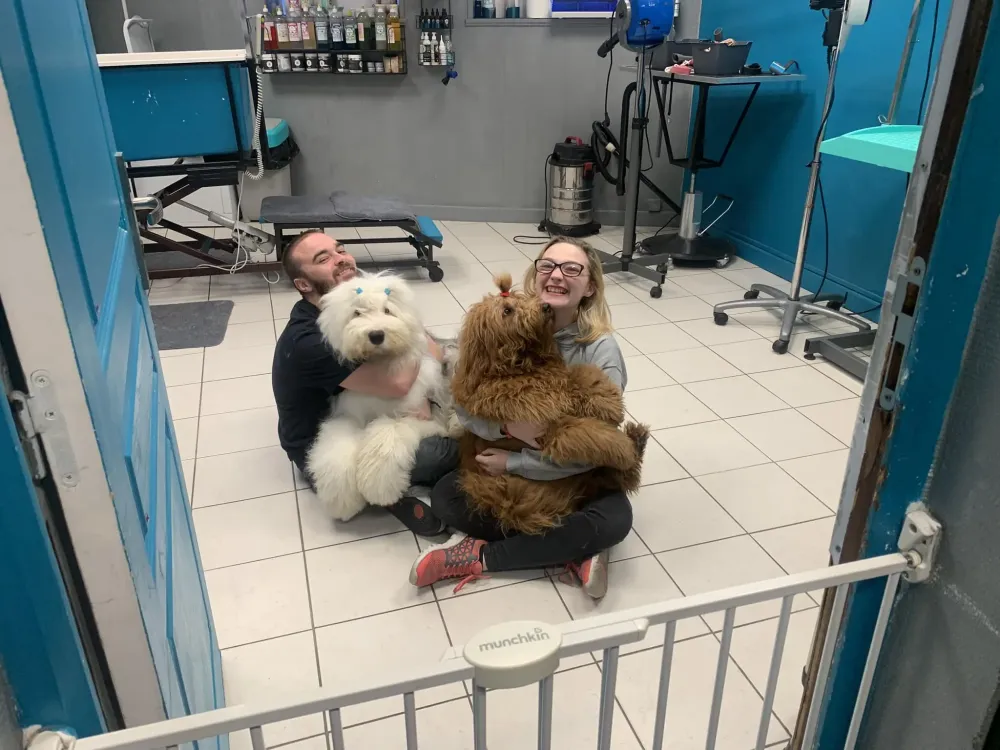 Toilettage chien à Saint-Saulve