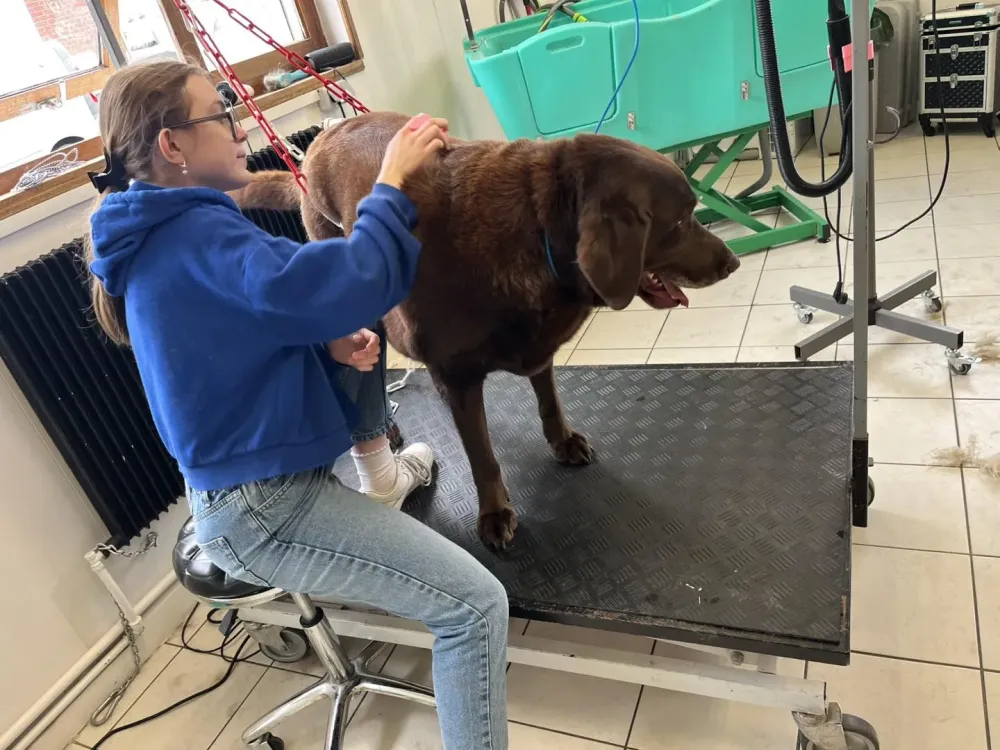 Coupe des griffes à Saint-Saulve