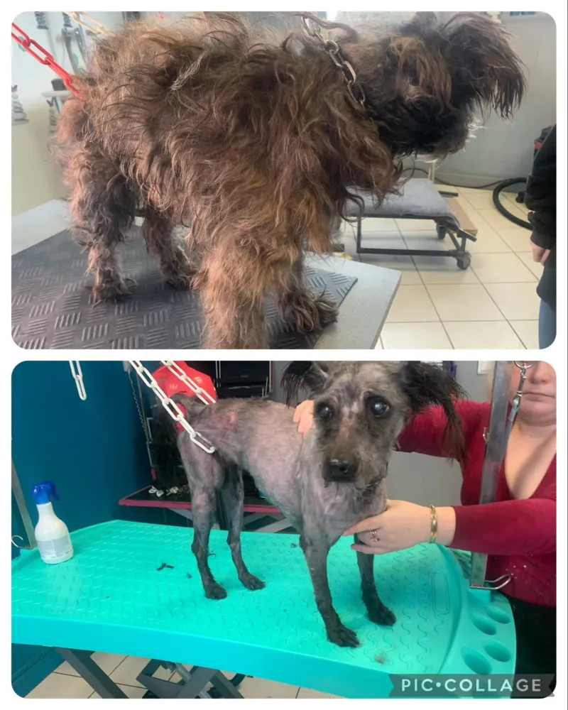 nos realisations (11)