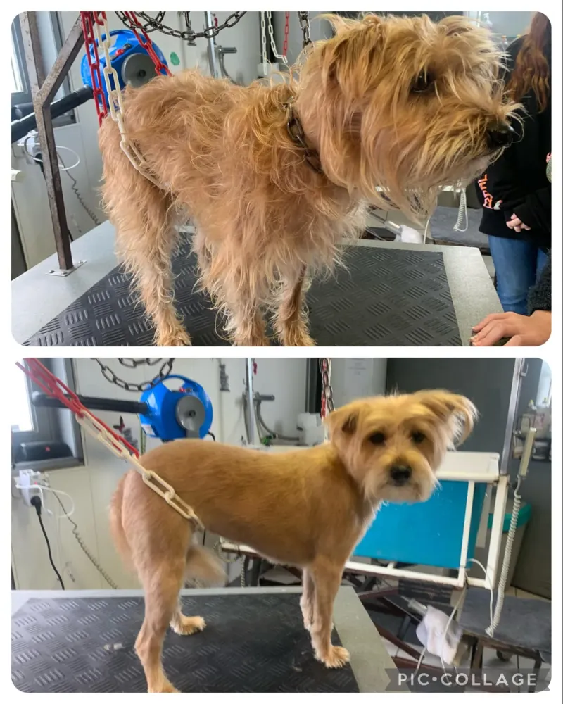 nos realisations (10)