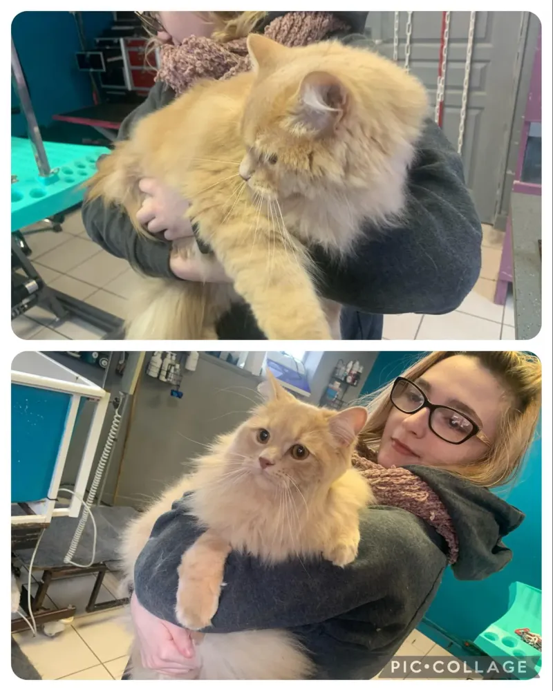 nos realisations (9)