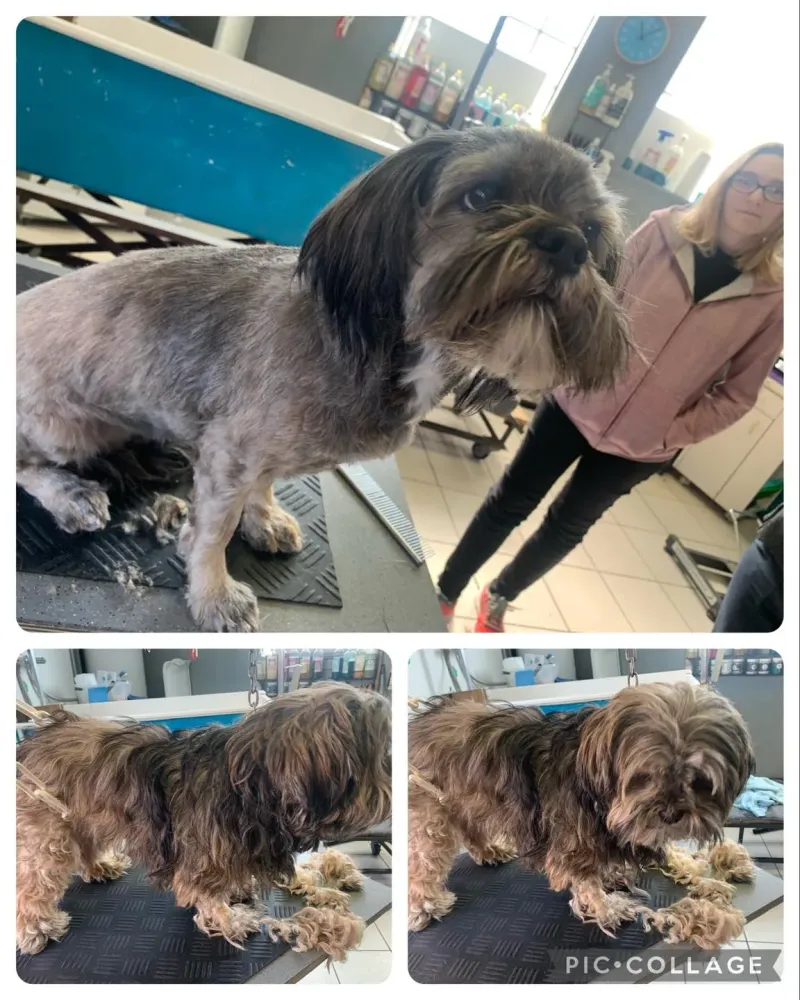 nos realisations (8)