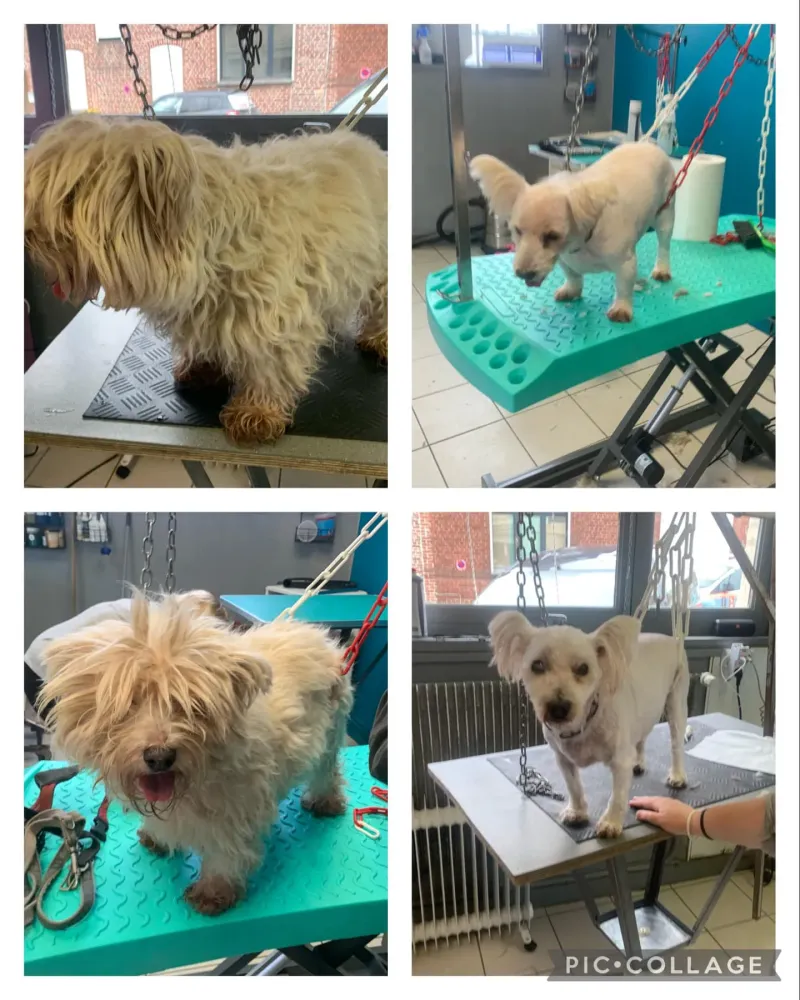 nos realisations (7)