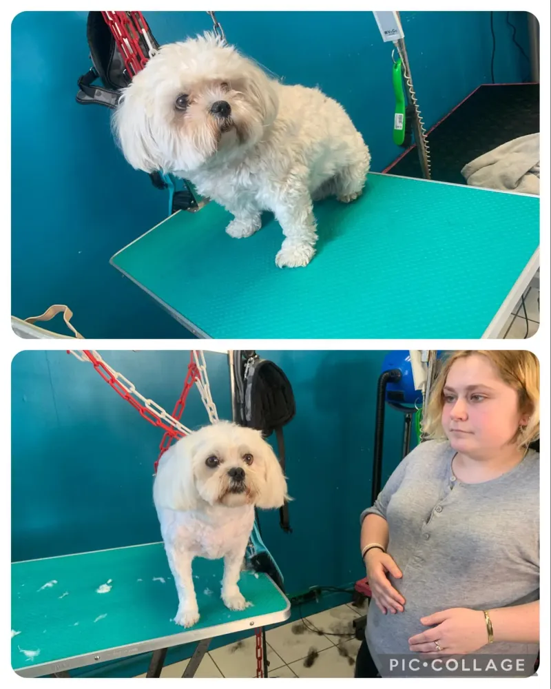 nos realisations (6)