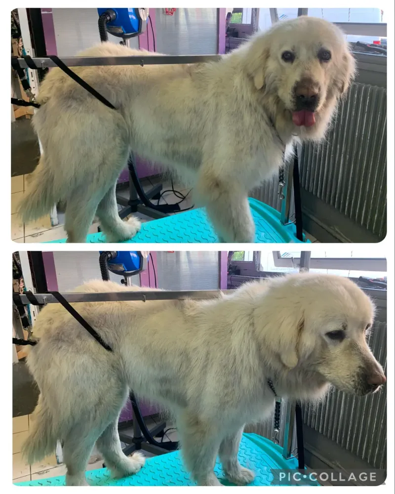 nos realisations (5)