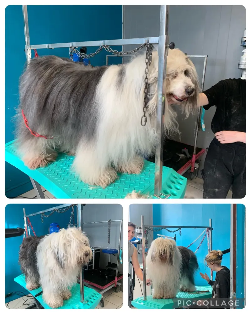 nos realisations (4)