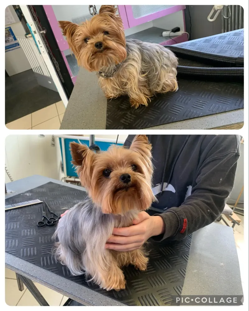 nos realisations (3)