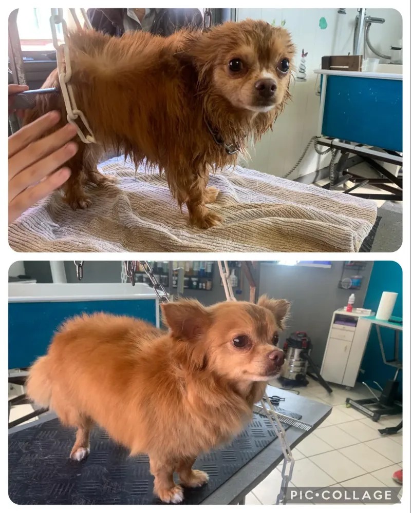 nos realisations (2)