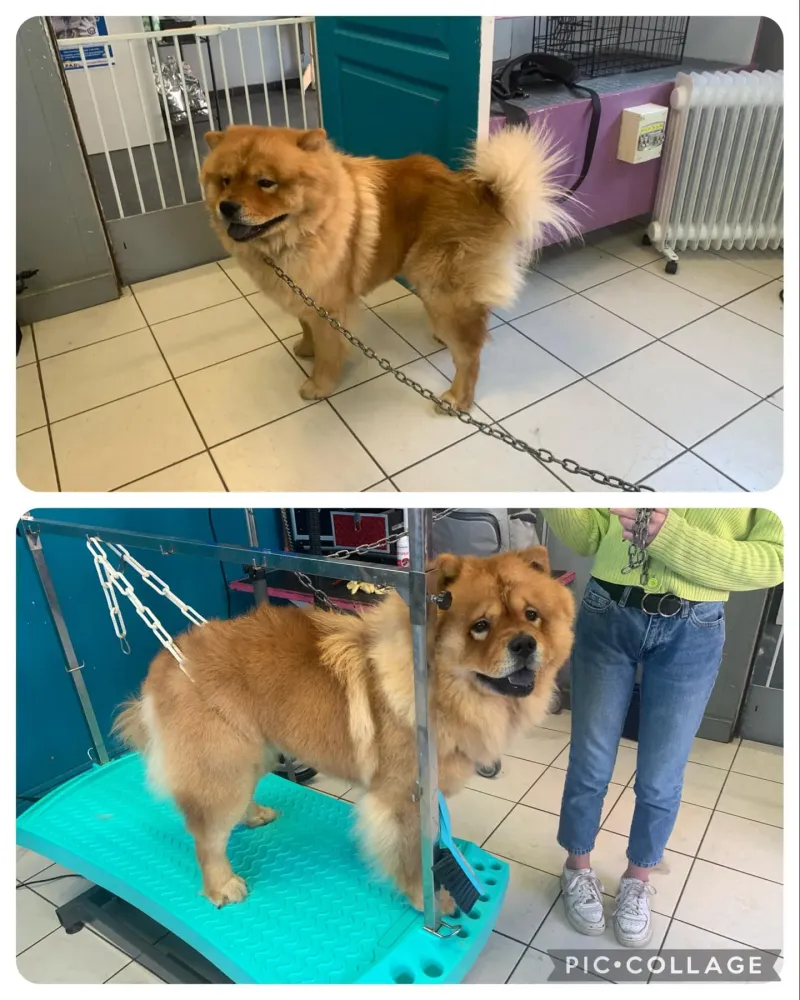 nos realisations (1)