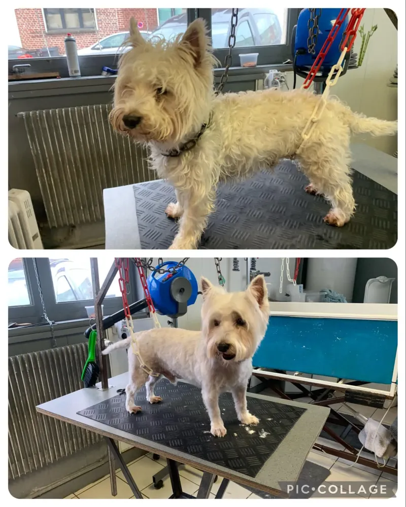 nos realisations (12)